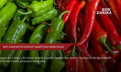 Batı Akdeniz'in ihracat şampiyonu biber oldu