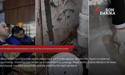 Hatay'da mide bulandıran manzara: Fareyi geçtim, yılan çıkacak diye korkuyorum