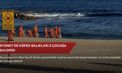 Sydney’de köpek balıkları 2 çocuğa saldırdı