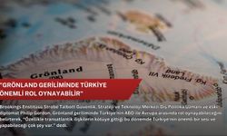 "Grönland geriliminde Türkiye önemli rol oynayabilir"
