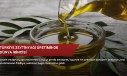 Türkiye zeytinyağı üretiminde dünya ikincisi