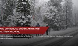 ABD dondurucu soğukların etkisi altında kalacak
