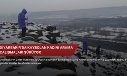 Diyarbakır'da kaybolan kadını arama çalışmaları sürüyor
