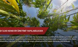 21 ilde kenevir üretimi yapılabilecek