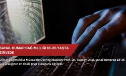 Sanal kumar bağımlılığı 18-35 yaşta zirvede