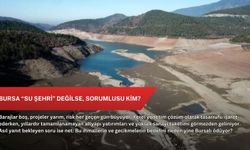 Bursa “Su Şehri” Değilse, Sorumlusu Kim?