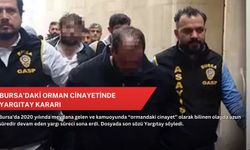 Bursa’daki orman cinayetinde yargıtay kararı