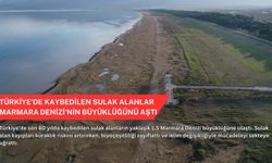 Türkiye’de kaybedilen sulak alanlar Marmara Denizi'nin büyüklüğünü aştı