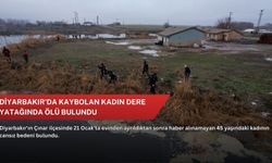 Diyarbakır'da kaybolan kadın dere yatağında ölü bulundu