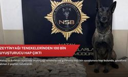 Zeytinyağı tenekelerinden 100 bin uyuşturucu hap çıktı