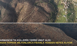 Harmancık'ta küllerin yerini umut aldı: yanan toprak milyonlarca fidanla yeniden nefes alıyor