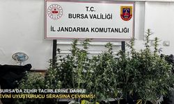 Bursa’da zehir tacirlerine darbe: Evini uyuşturucu serasına çevirmiş!