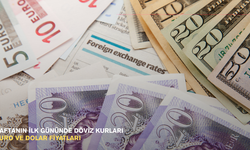 Haftanın ilk gününde döviz kurları: Euro ve Dolar fiyatları