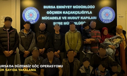 Bursa'da düzensiz göç operasyonu: Çok sayıda yakalama