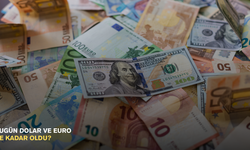Bugün dolar ve euro ne kadar oldu?