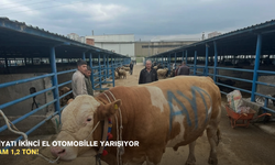 Fiyatı ikinci el otomobille yarışıyor: Tam 1,2 ton!