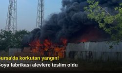 Bursa'da korkutan yangın! Boya fabrikası alevlere teslim oldu