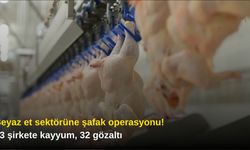 Beyaz et sektörüne şafak operasyonu! 13 şirkete kayyum, 32 gözaltı