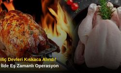 Piliç Devleri Kıskaca Alındı! 8 İlde Eş Zamanlı Operasyon