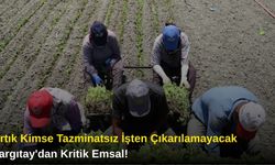 Artık Kimse Tazminatsız İşten Çıkarılamayacak: Yargıtay'dan Kritik Emsal!"