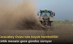 Karacabey Ovası’nda büyük hareketlilik! Çeltik mesaisi gece gündüz sürüyor