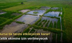Bursa’da tarımı etkileyecek karar! Çeltik ekimine izin verilmeyecek