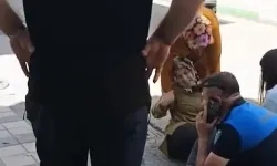 Bursa'da faciaya ramak kaldı! Yoldan geçen kadının üzerine beton parçası düştü