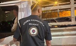 4 düzensiz göçmen yakalandı