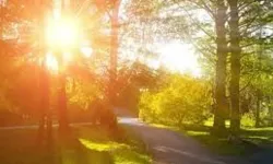 Bursa'da 10 Temmuz'da güneşli ve açık hava hakim olacak