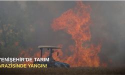 Yenişehir'de tarım arazisinde yangın!