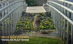 Tirilye Halk Plajı'nda "Engelsiz Plaj" isyanı