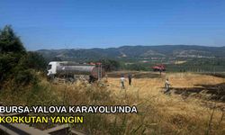 Bursa-Yalova Karayolu'nda korkutan yangın