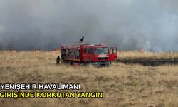 Yenişehir Havalimanı girişinde korkutan yangın
