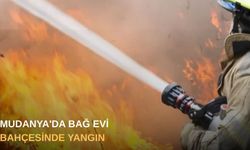 Mudanya'da bağ evi bahçesinde yangın