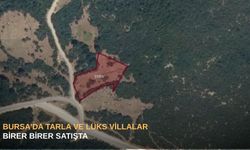 Bursa'da tarla ve lüks villalar birer birer satışta