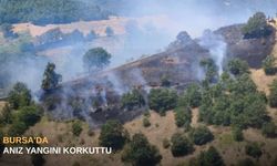 Bursa'da anız yangını korkuttu