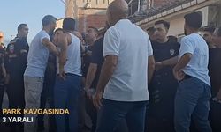Park kavgasında 3 yaralı