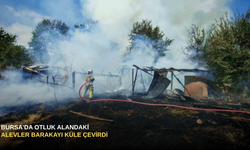 Bursa'da Otluk Alandaki Alevler Barakayı Küle Çevirdi
