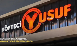 Bursa'da Başlayan Evcil Hayvan Yasağı Zinciri Büyüyor