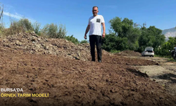 Bursa'da Örnek Tarım Modeli