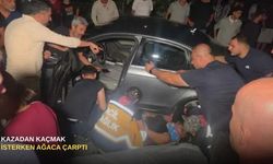 Kazadan kaçmak isterken ağaca çarptı