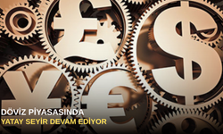 Döviz piyasasında yatay seyir devam ediyor