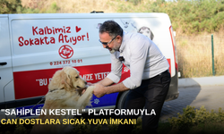 "Sahiplen Kestel" Platformuyla Can Dostlara Sıcak Yuva İmkanı