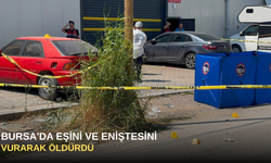 Bursa'da Eşini ve Eniştesini Vurarak Öldürdü