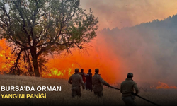 Bursa'da Orman Yangını Paniği