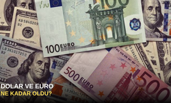 Dolar ve Euro Ne Kadar Oldu?