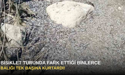 Bisiklet Turunda Fark Ettiği Binlerce Balığı Tek Başına Kurtardı!