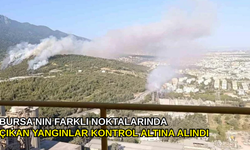 Bursa'nın farklı noktalarında çıkan yangınlar kontrol altına alındı