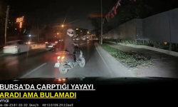 Bursa'da çarptığı yayayı aradı ama bulamadı