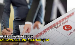 Bursa'da milyonluk tarla ve zeytinlikler satışta!